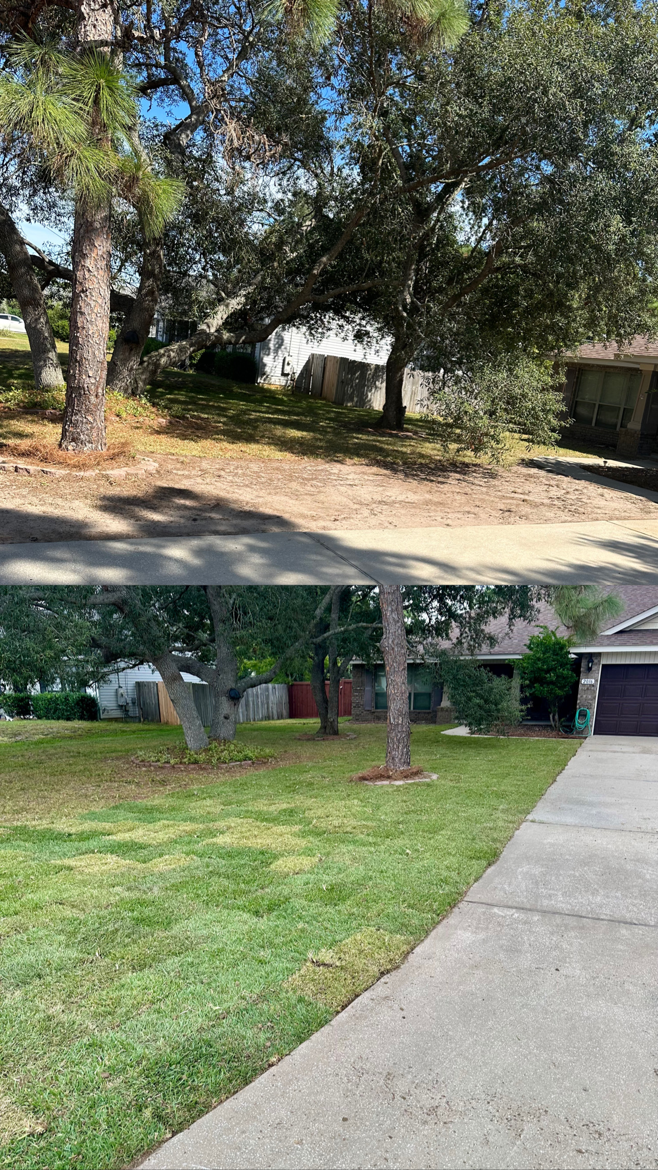 Professional Sod Installation in Destin, Florida